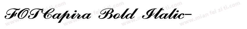 FOTCapira Bold Italic字体转换